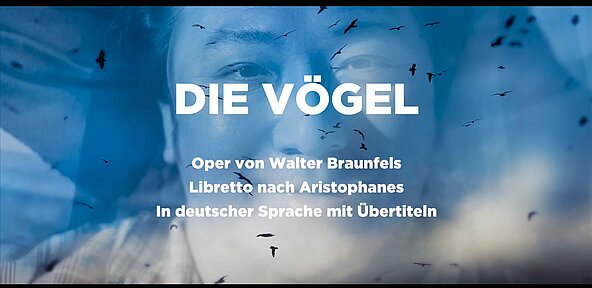 Oldenburgisches Staatstheater: Die Vögel | Oldenburgisches Staatstheater