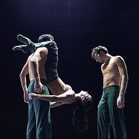 Impressionen der Compagnien der Tanzgala – Falling, BallettCompagnie Oldenburg