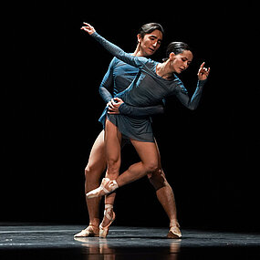 Impressionen der Compagnien der Tanzgala – The Dying Poet.