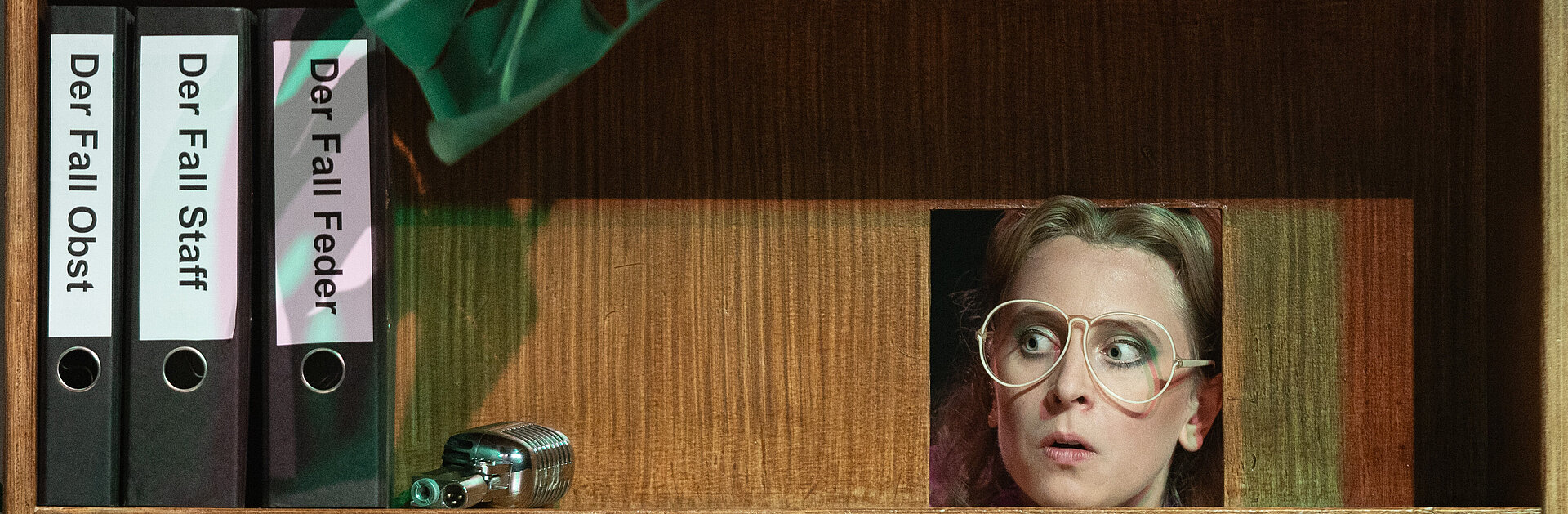 Lisa (Esther Berkel) schaut aus einer großen weiß umrandeten Brille mit neugierig offenen Augen aus einem Loch einer Regalwand. Neben ihrem Kopf stehen Aktenordner mit Aufklebern: »Der Fall Obst«, »Der Fall Staff«, »Der Fall Feder«.